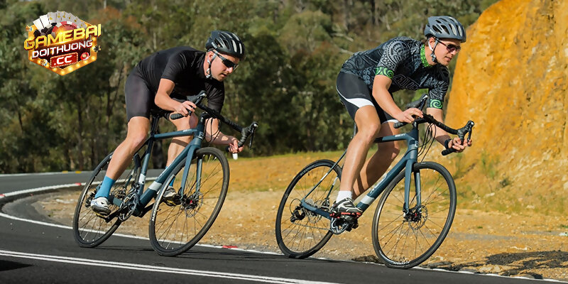 Kinh nghiệm cược đua xe đạp dễ thắng nhất từ các cao thủ
