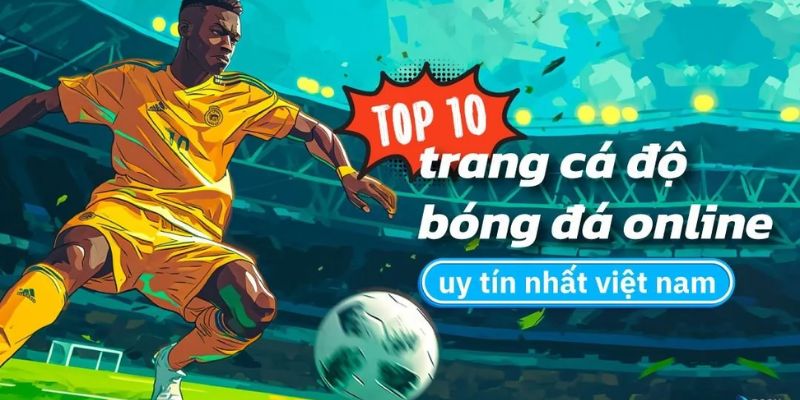 Tìm hiểu về cá độ bóng đá